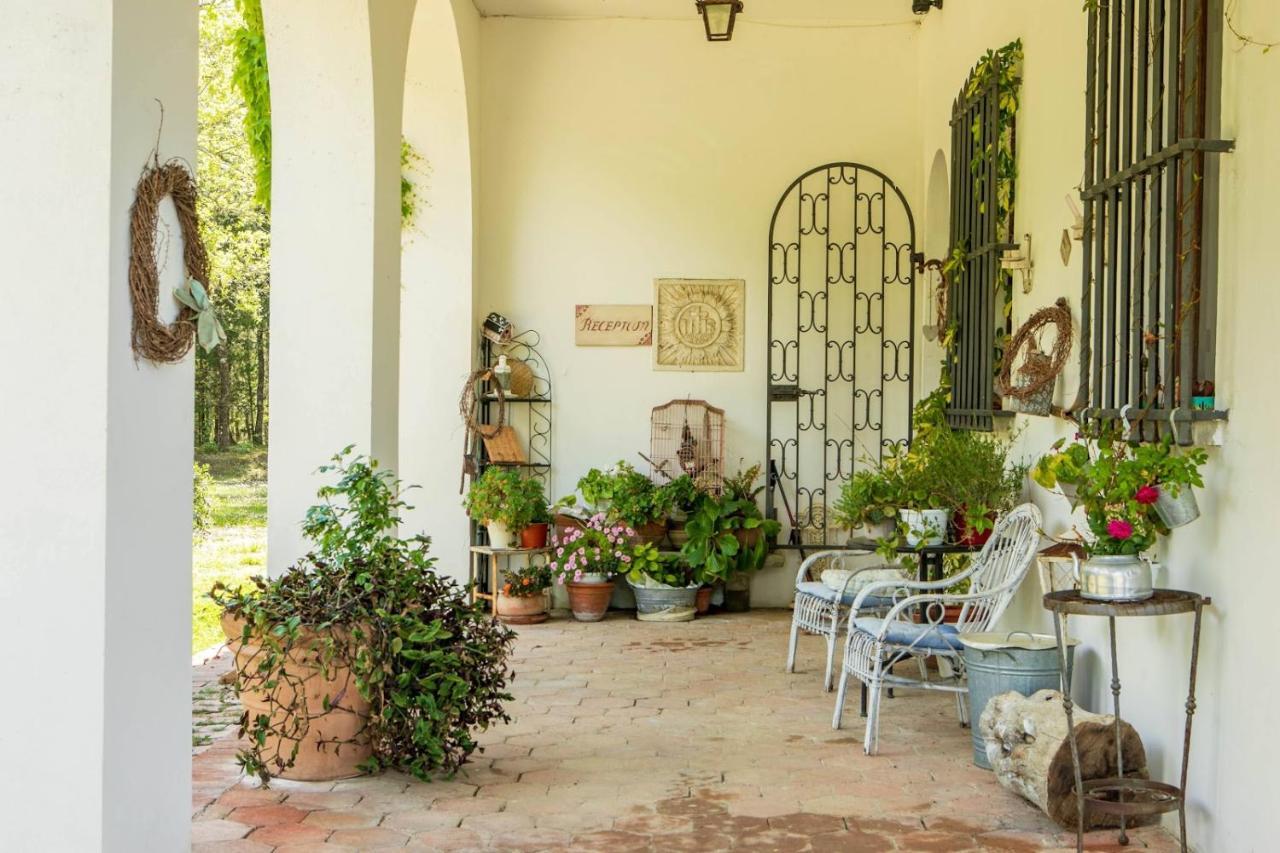 Villa Albertina Montespertoli Εξωτερικό φωτογραφία